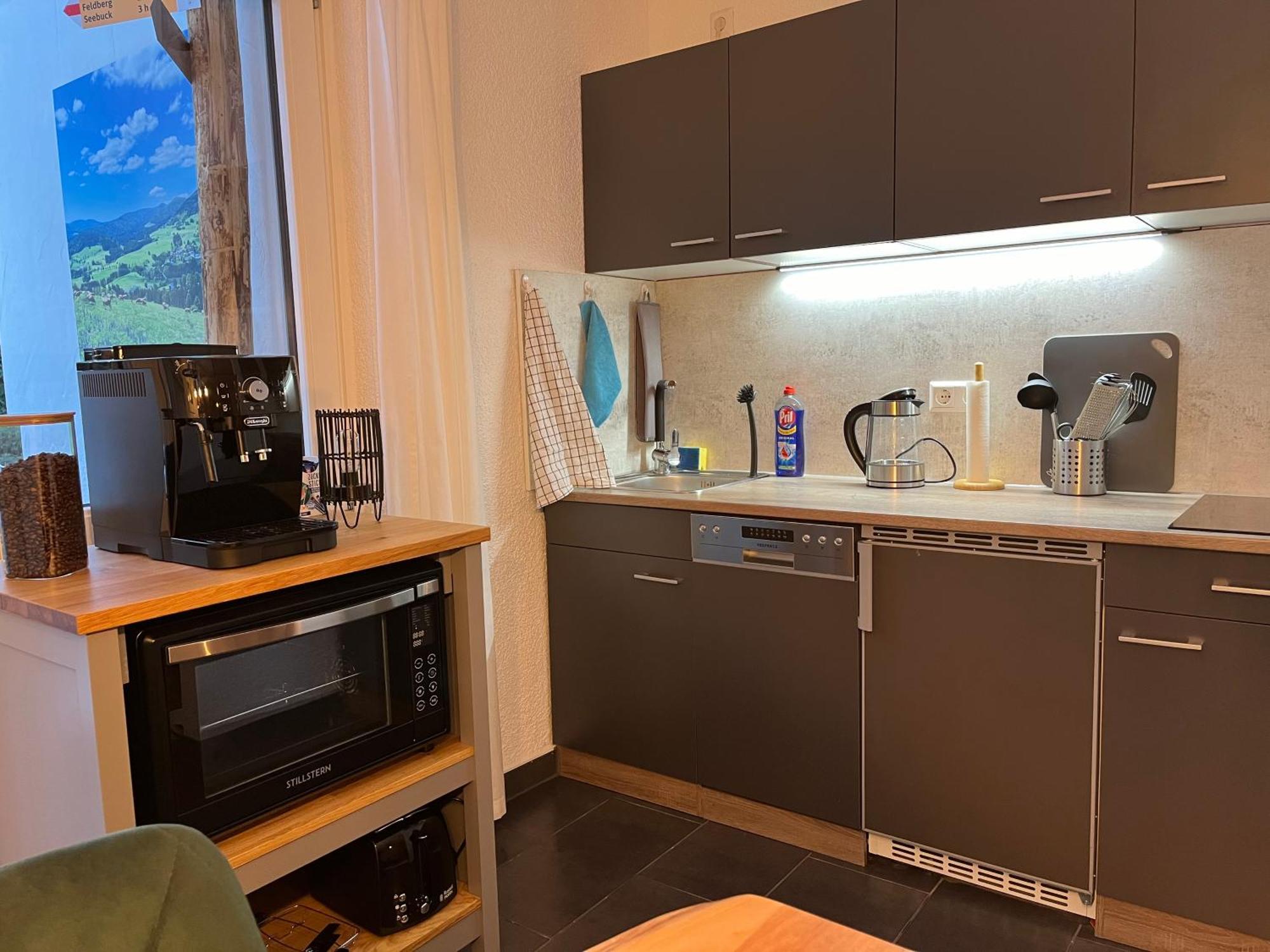 Ferienappartement Schwarzwaldeck In Todtnauberg Exterior photo